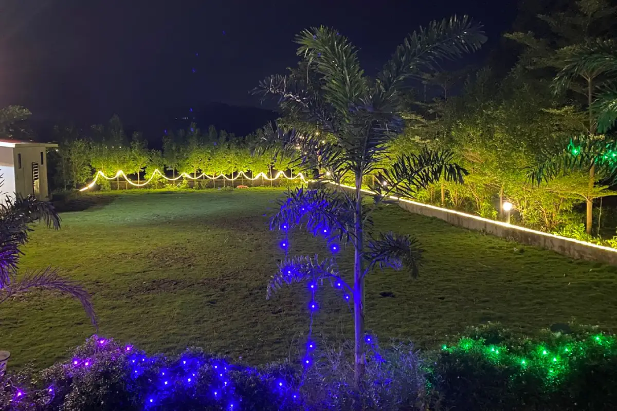 Bolly Villa