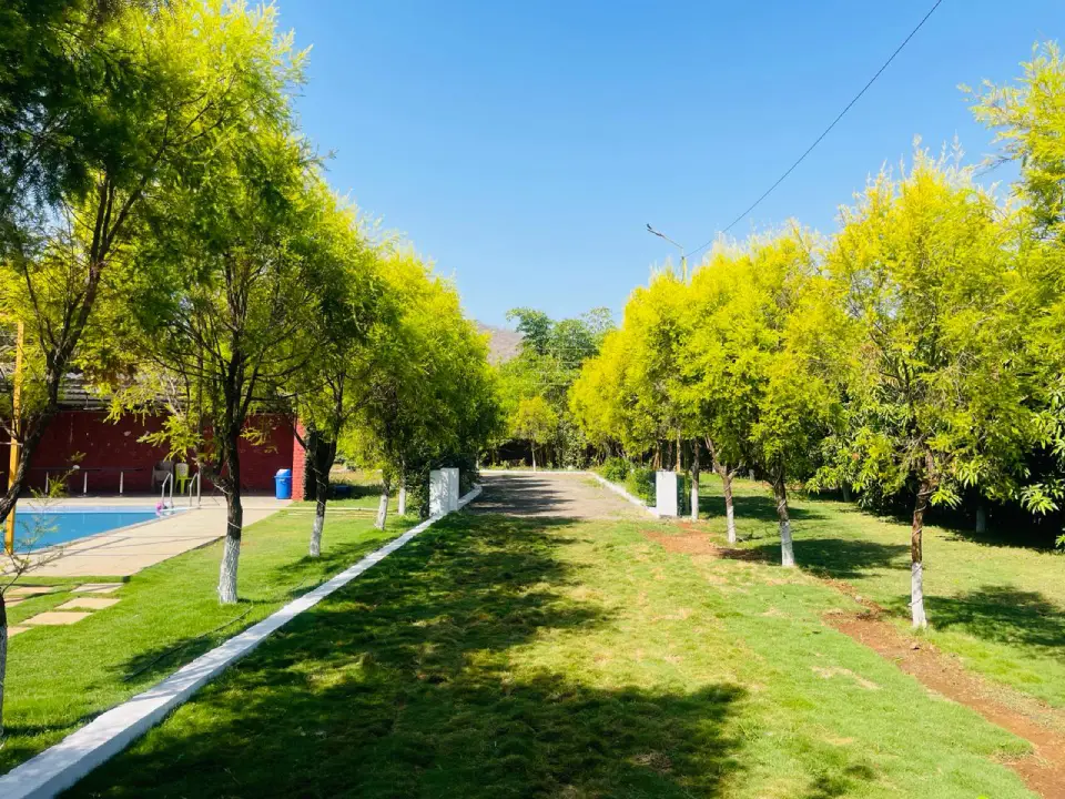 The Yellow House