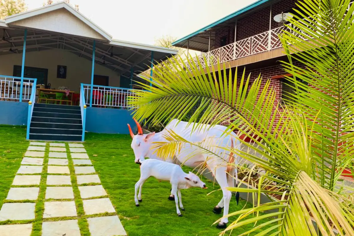 Green Forest Staycations